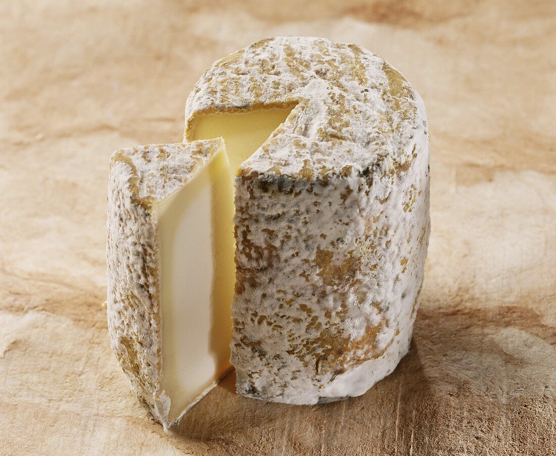 Chabichou, a French goat's cheese