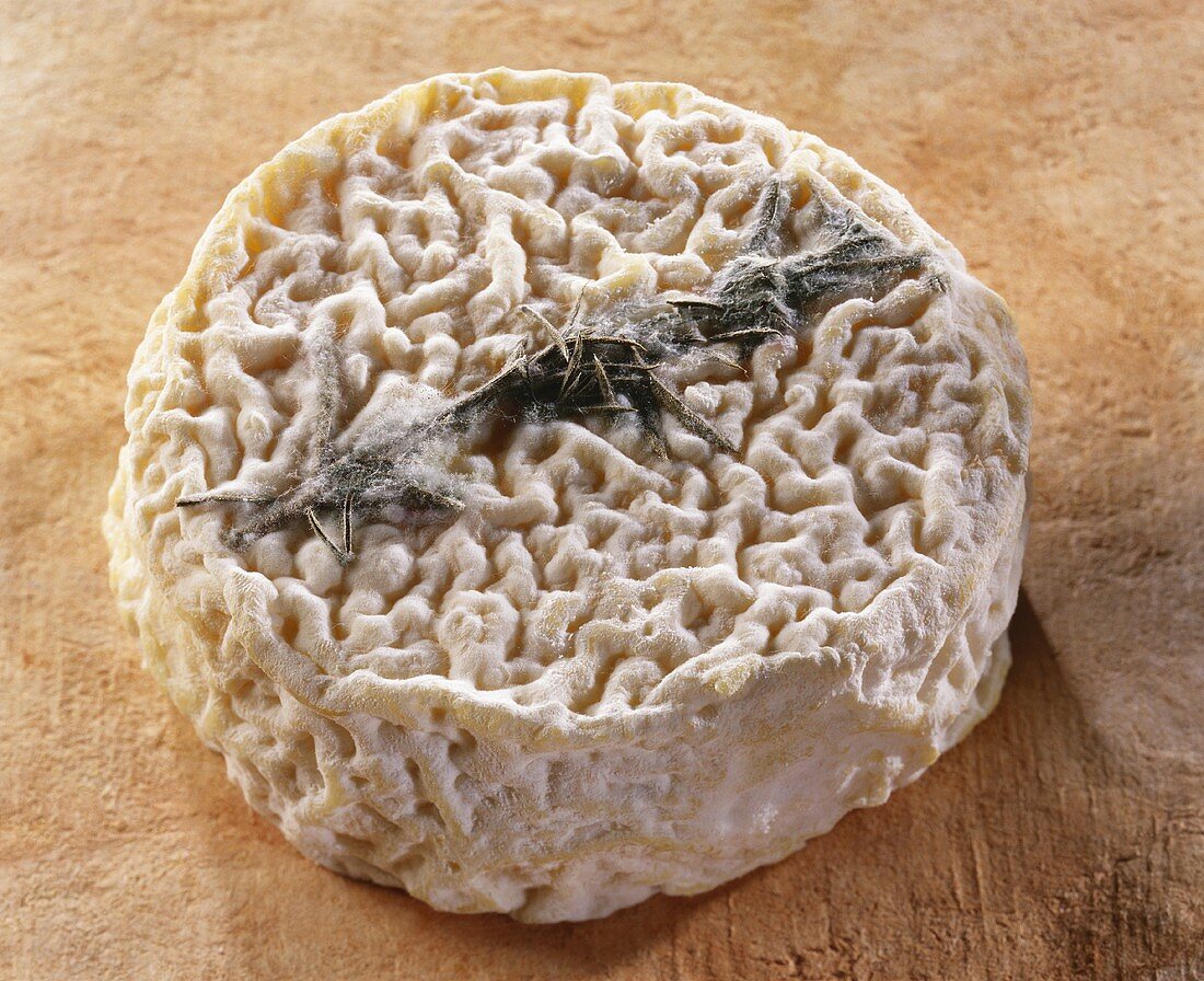 Le Provencal, a French goat's cheese, on brown background