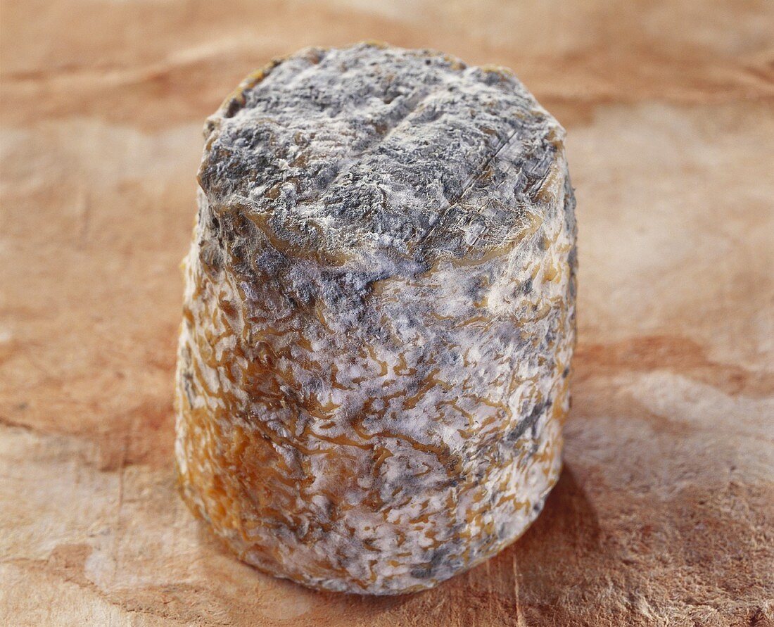 Le Villageois, a French goat's cheese, on brown background