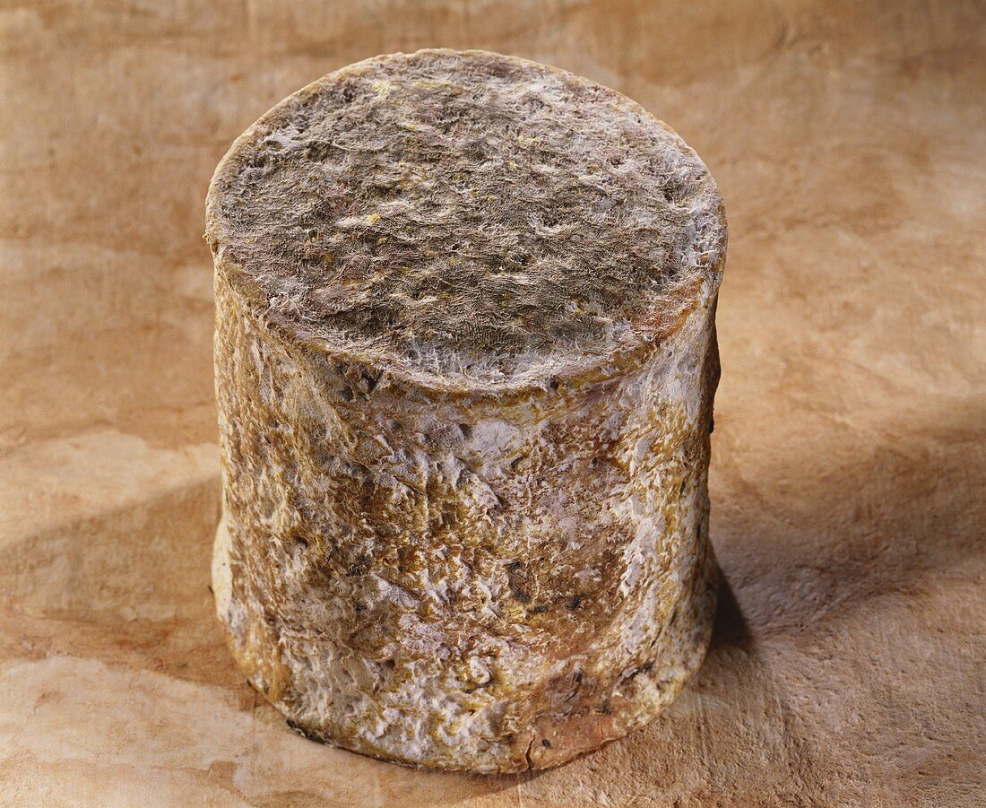 Persille de Tignes, a French goat's cheese