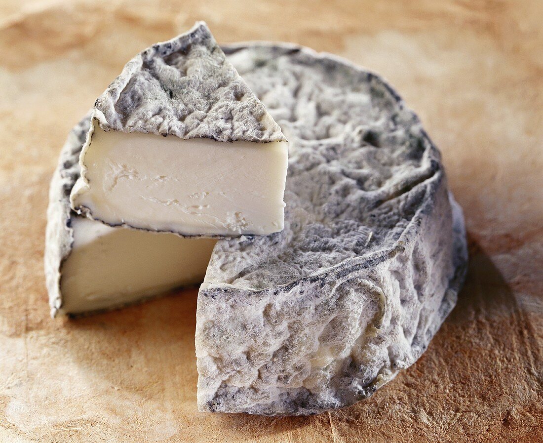 Selles-sur-Cher, a French goat's cheese