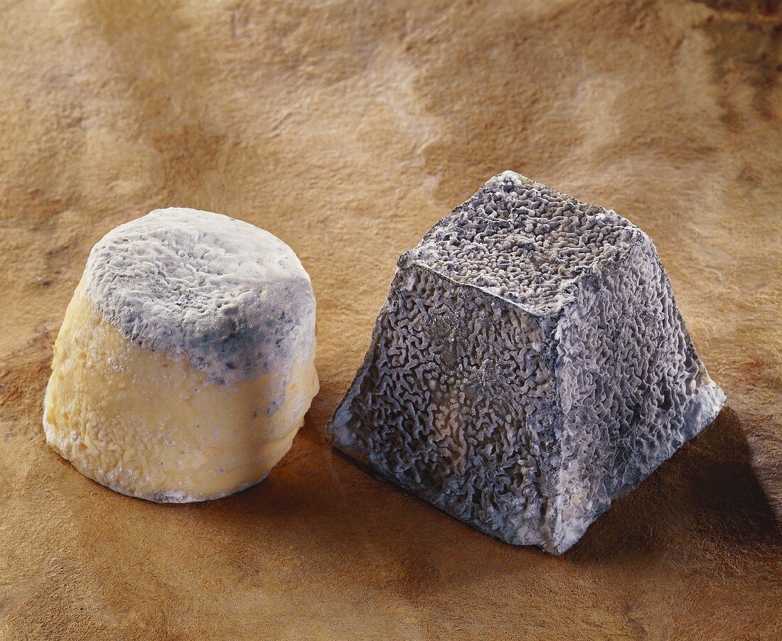 Toucy and Valencay, French goat's cheeses