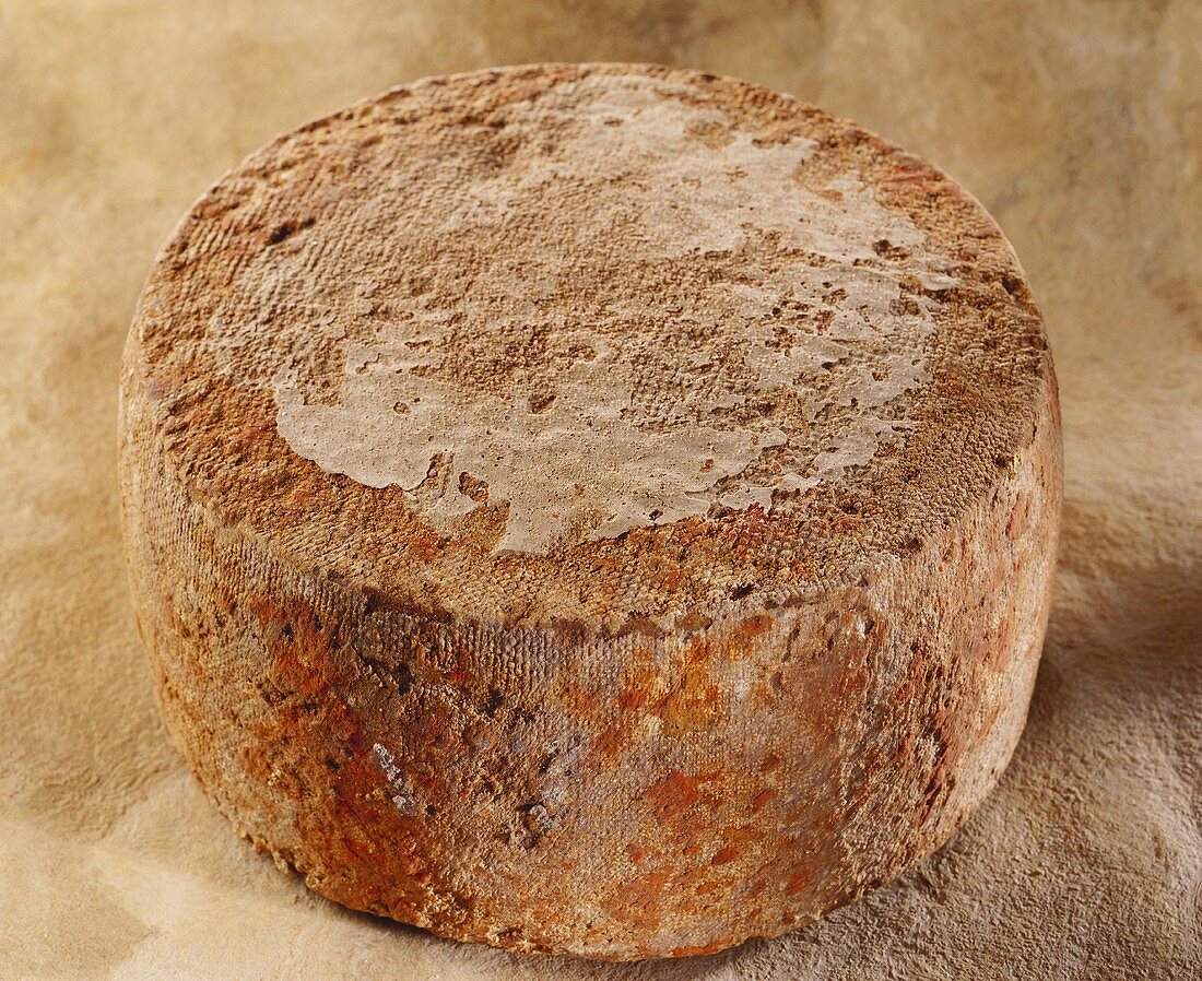 Ossau-Iraty, a sheep's cheese, on reddish background