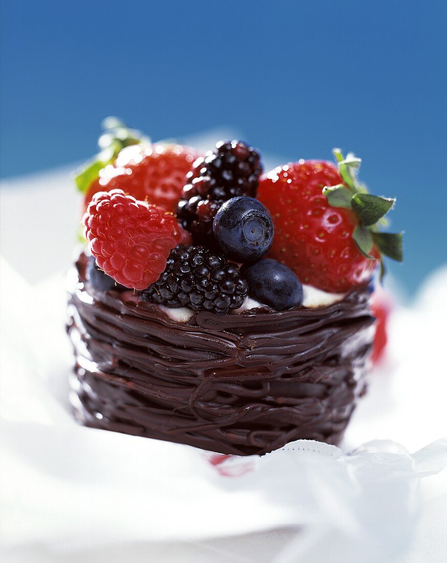 Berries; Chocolate Basket