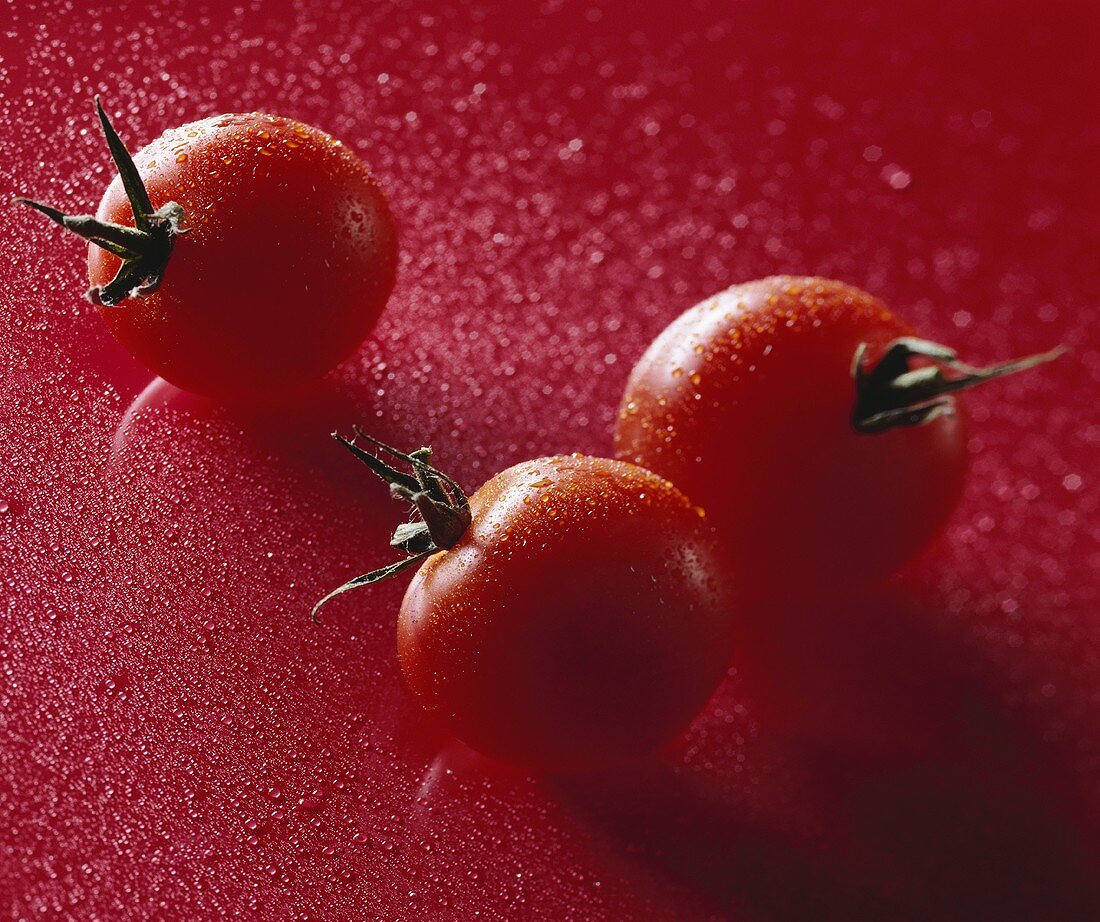 Drei Kirschtomaten mit Wassertropfen auf rotem Untergrund