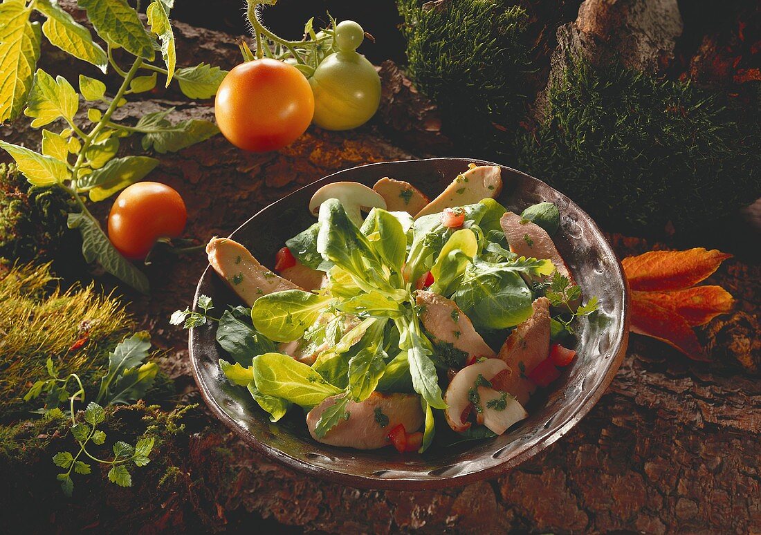 Feldsalat mit Steinpilzen, Champignons und Tomaten