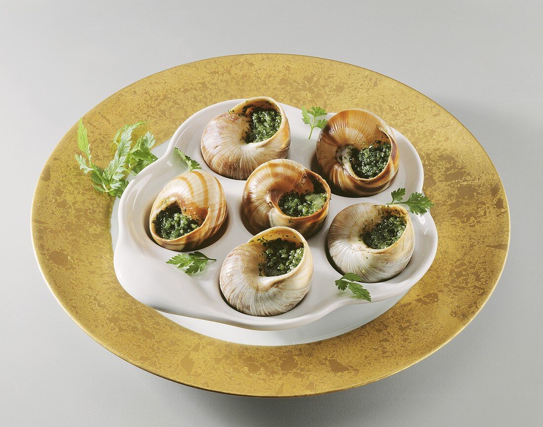 Snails with herb butter in a snail pan