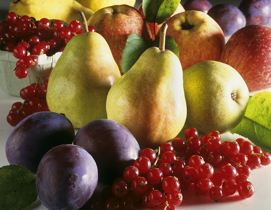 Obststillleben mit Birnen, Pflaumen, Johannisbeeren und Äpfeln