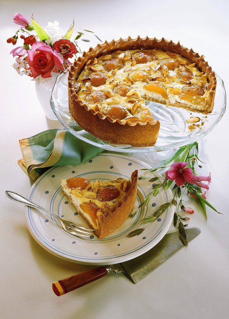 Aprikosen-Quark-Kuchen mit Mandeln auf Teller und Platte