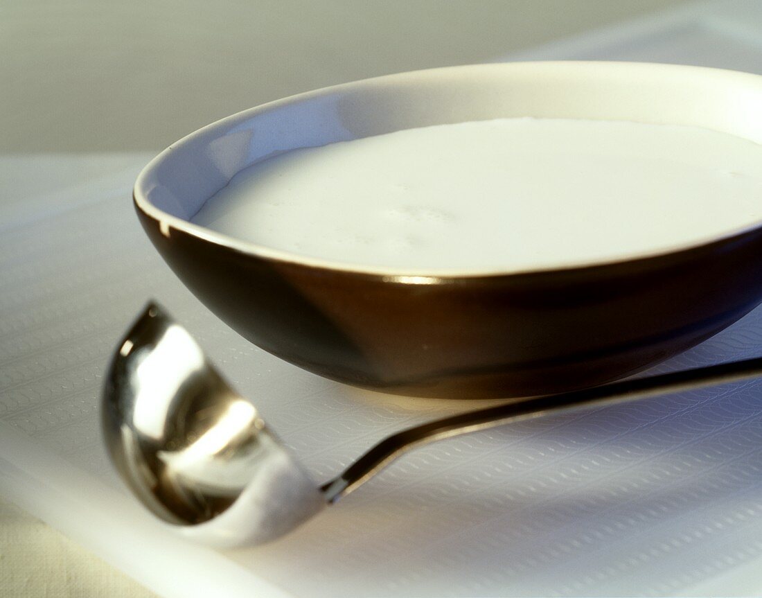 Yoghurt in a brown bowl
