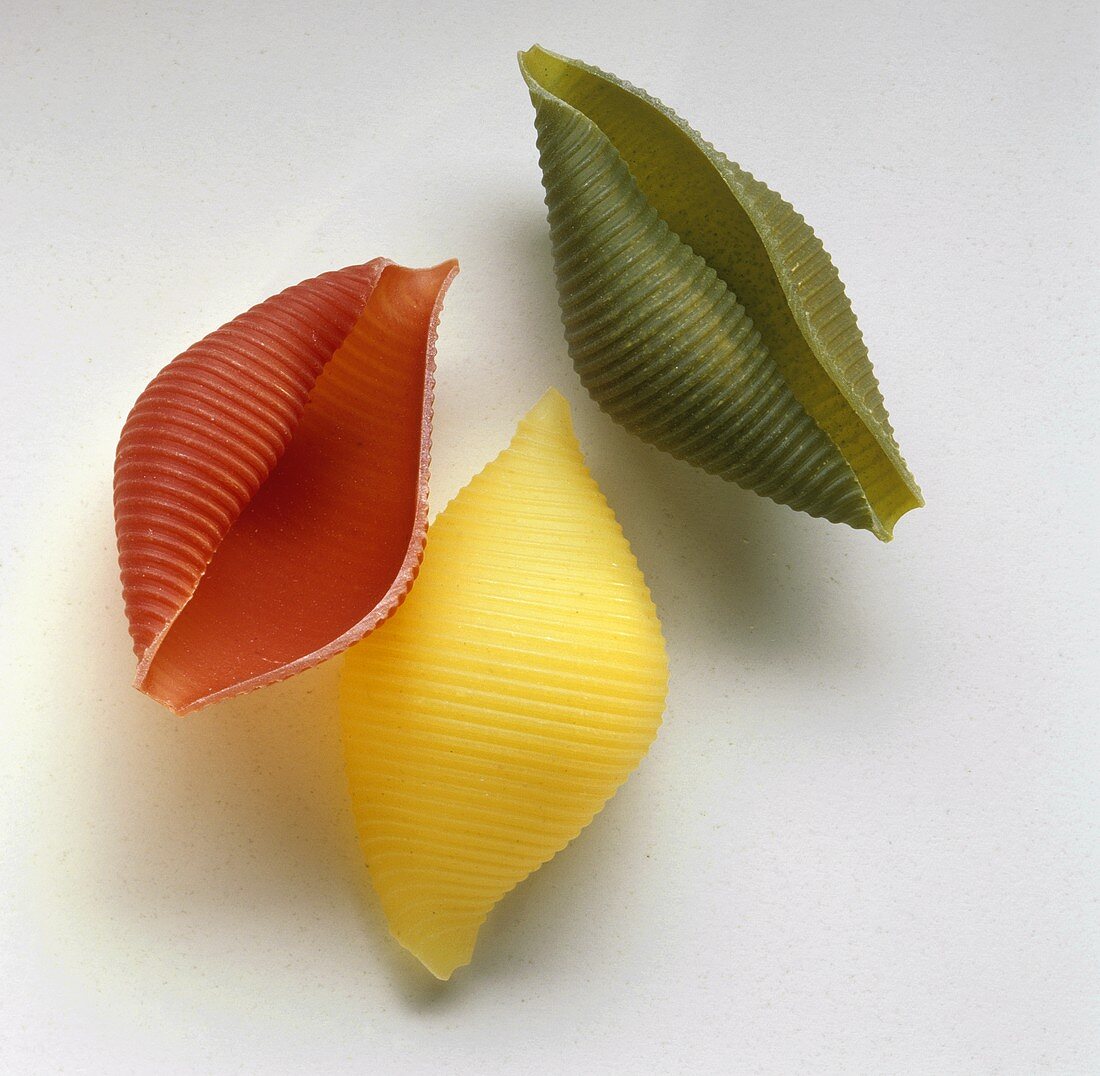 Three coloured pasta shells (conchiglie)