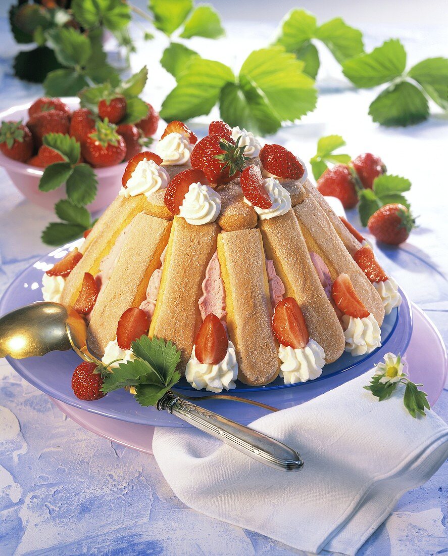 Strawberry charlotte with cream and fresh strawberries