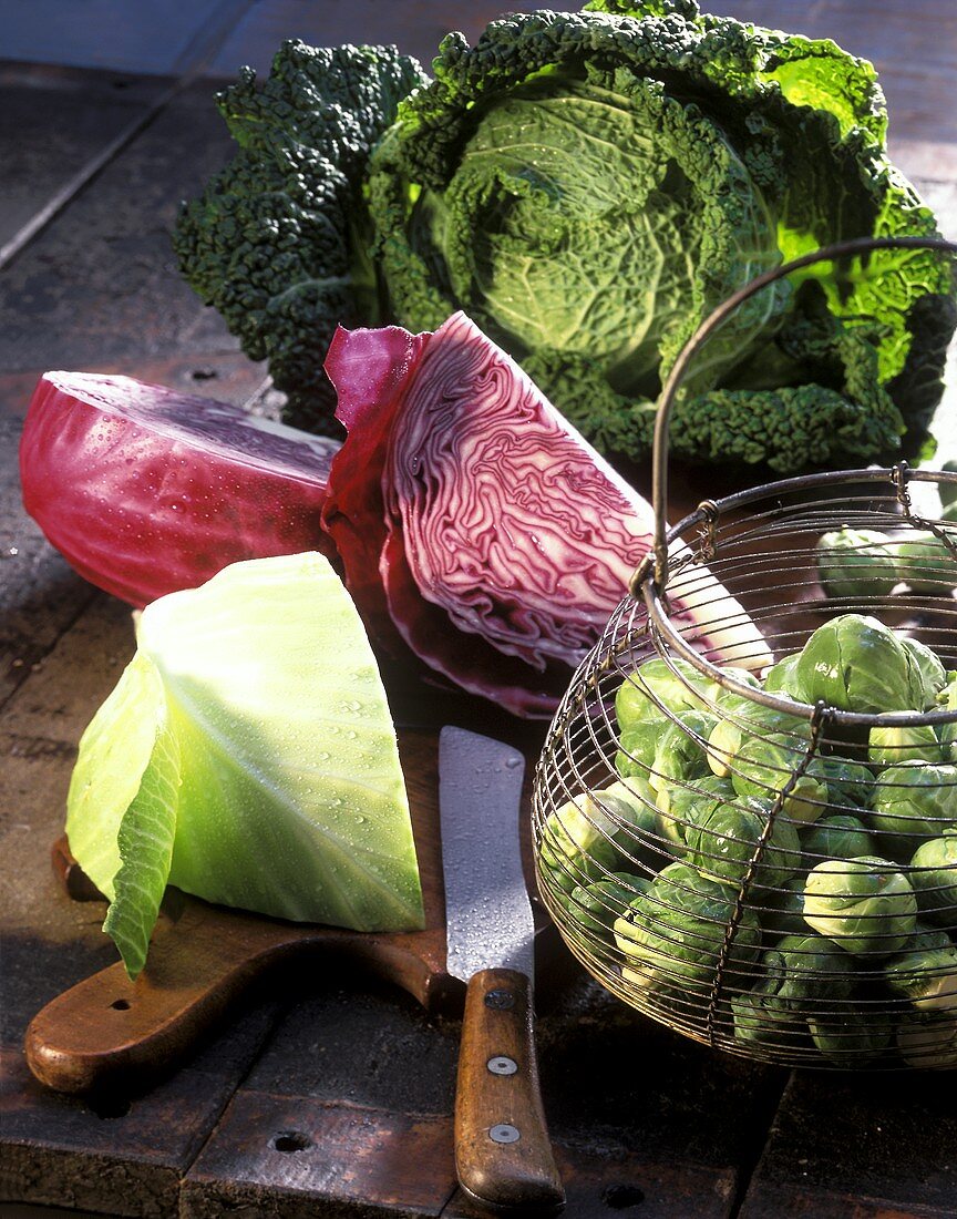 Still life with various types of cabbage