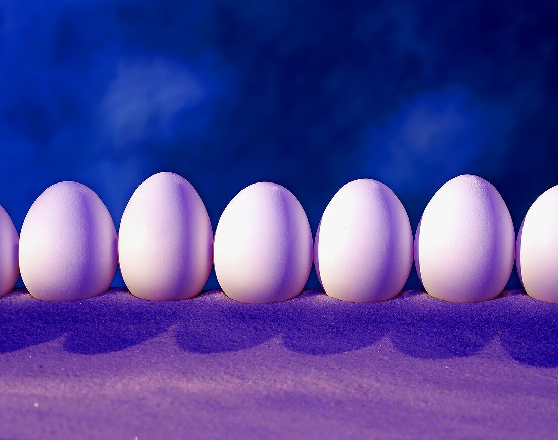 White eggs in a row