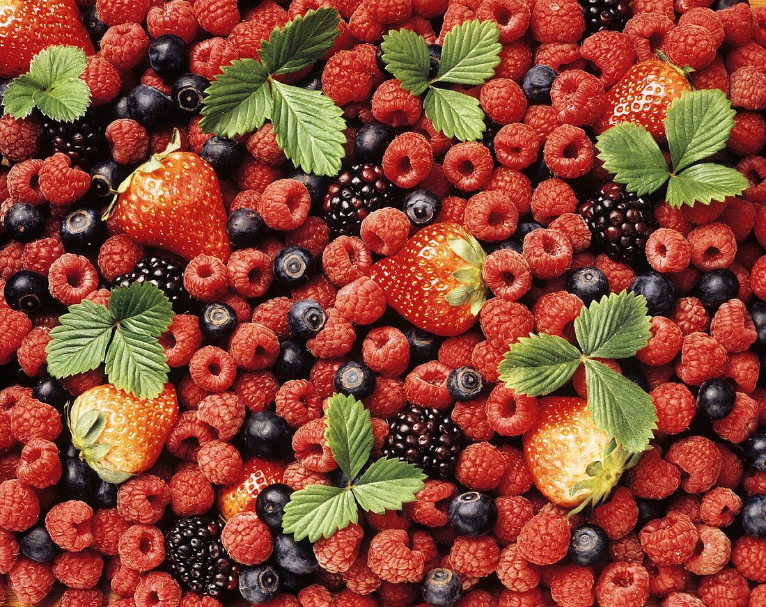 Fresh berries with strawberry leaves (filling the picture)