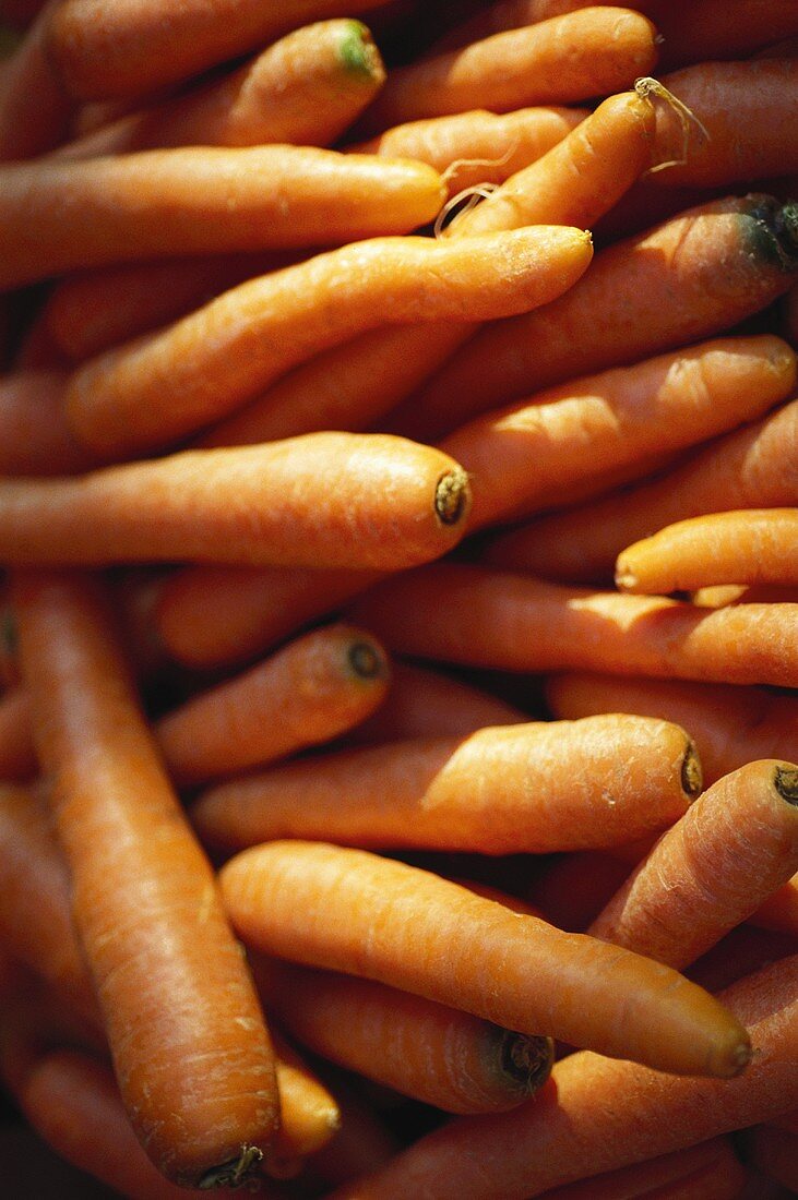 Carrots (filling the picture)