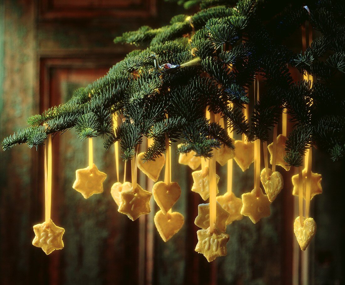 Advent calendar: biscuits with golden ribbons on fir branch