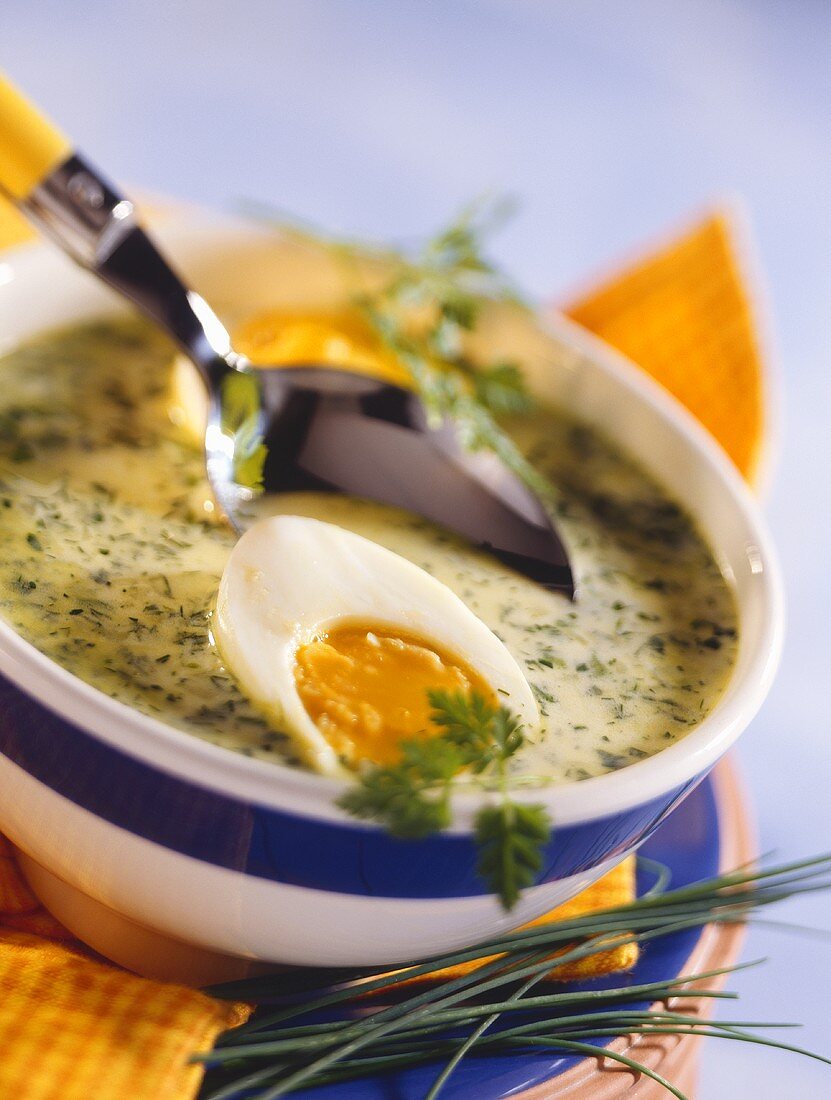 Spring herb soup with boiled egg