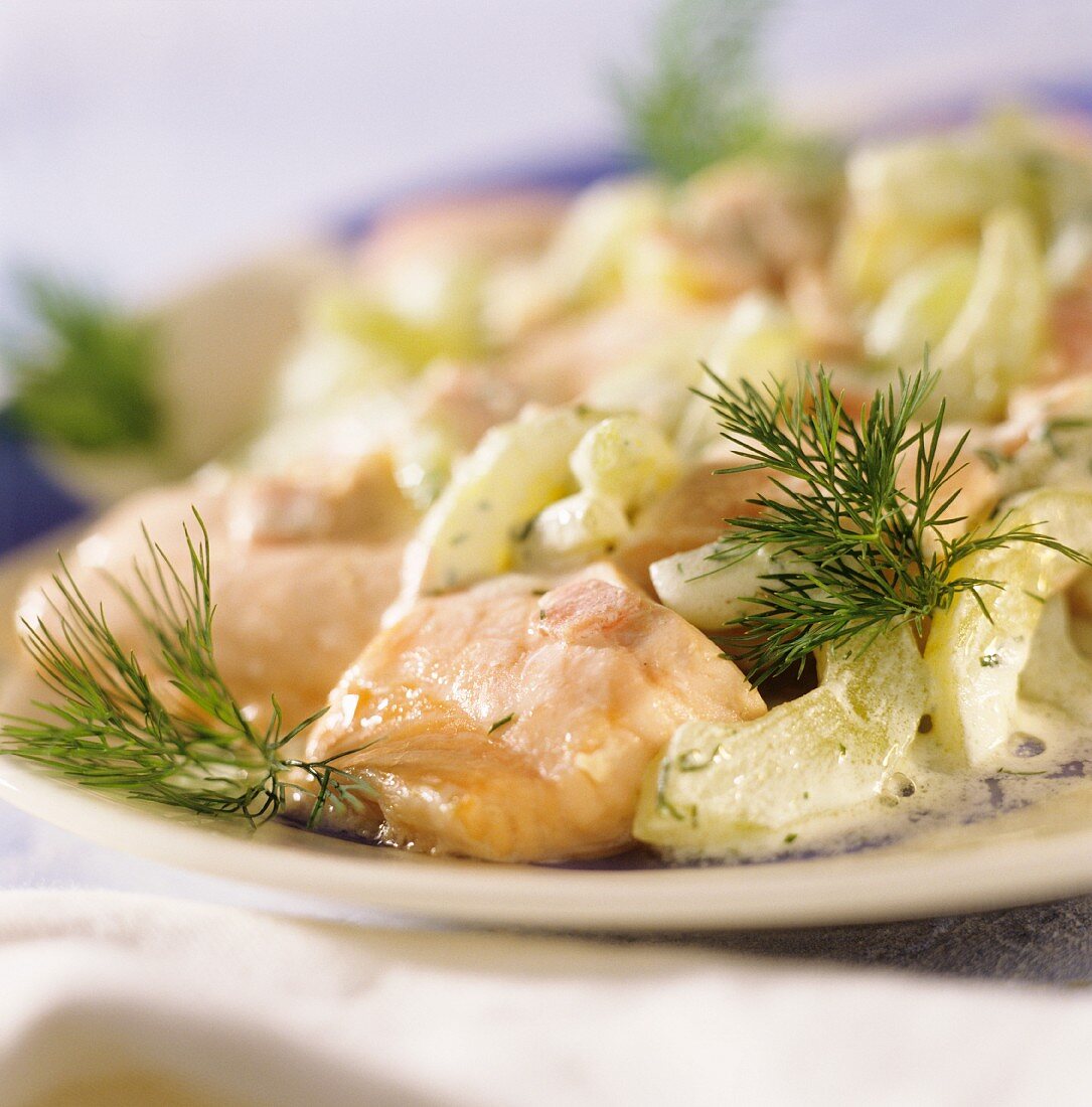 Salmon ragout with cucumber and dill