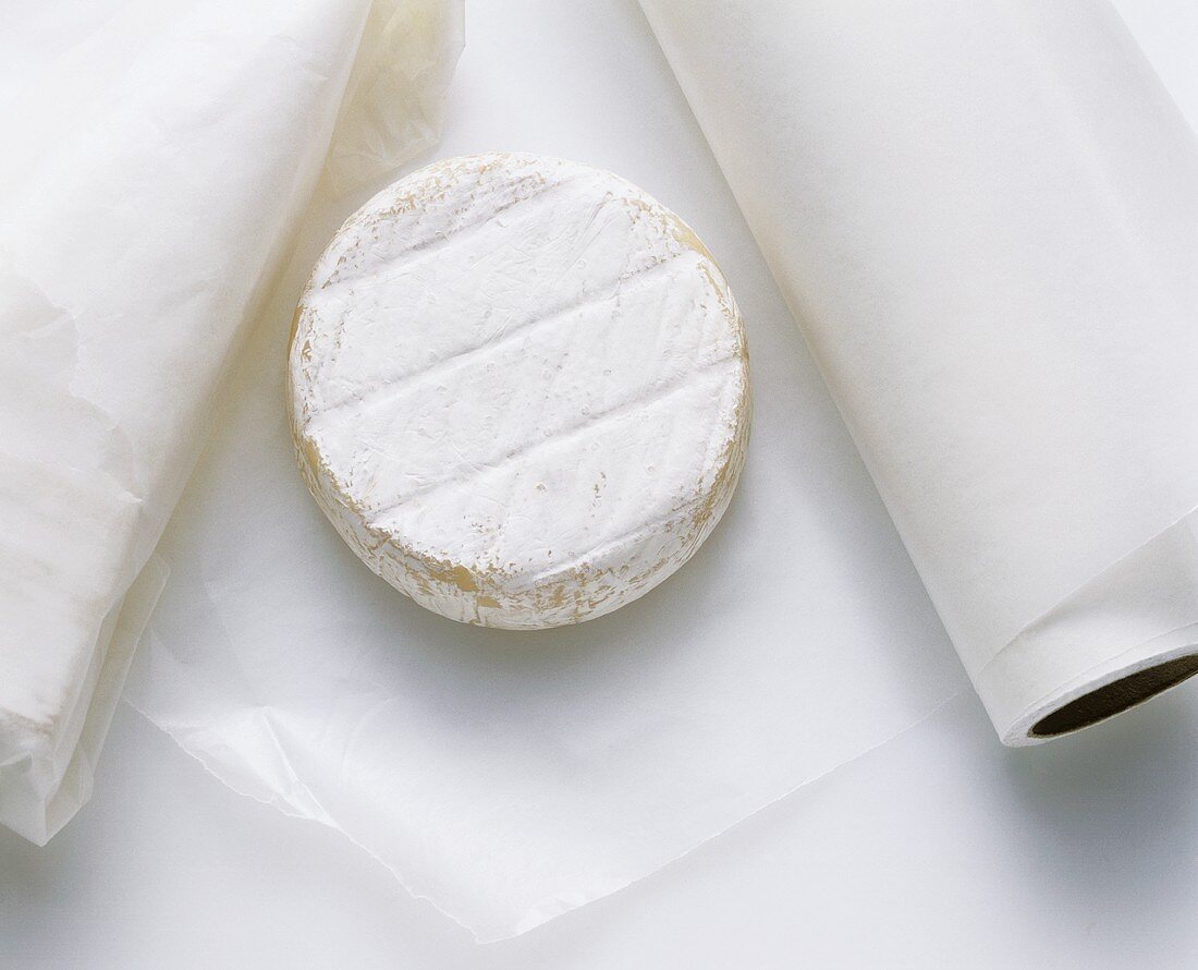 Soft cheese in greaseproof paper packing