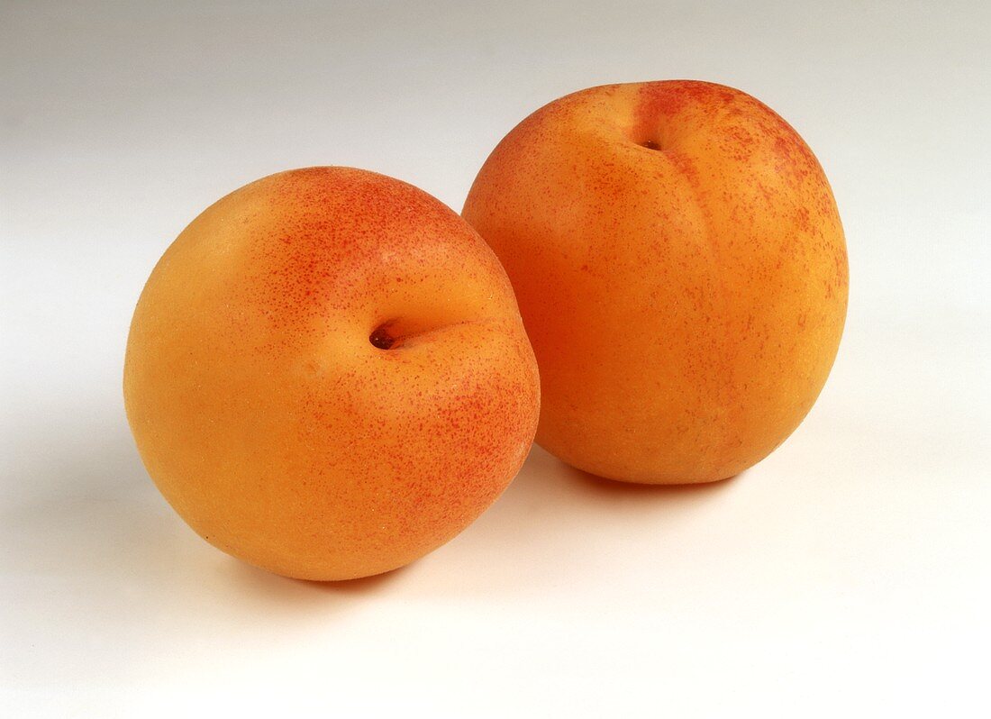 Two apricots on white background