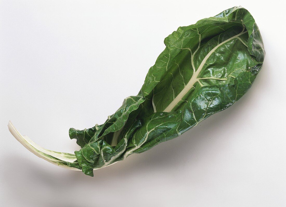 Chard on a white background