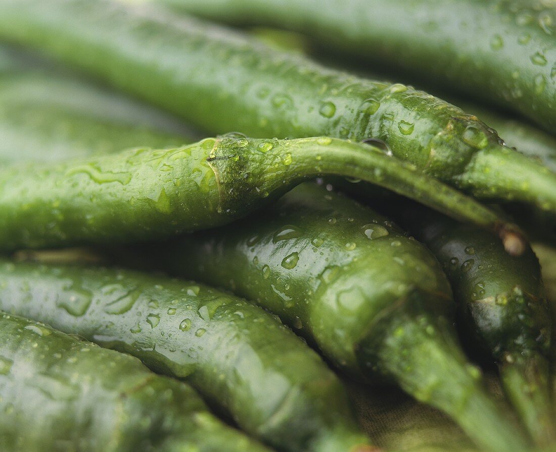 Chili pepper with drops of water (filling picture)