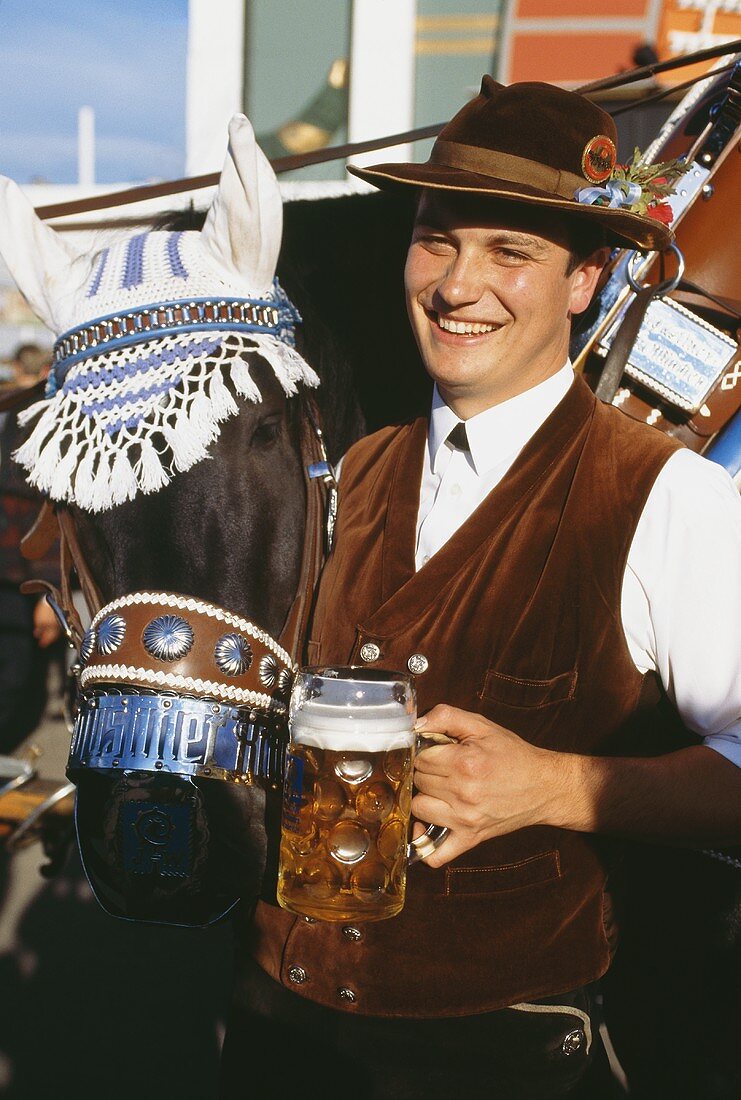 Kutscher mit Bierkrug und geschmücktem Pferd am Oktoberfest