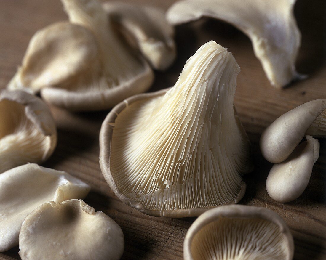 Oyster mushrooms on a wooden background