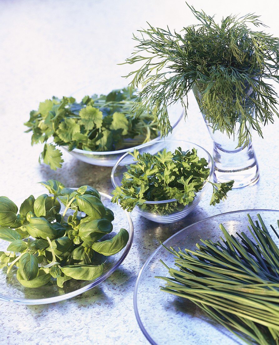Various herbs on glass plates and in glass bowls
