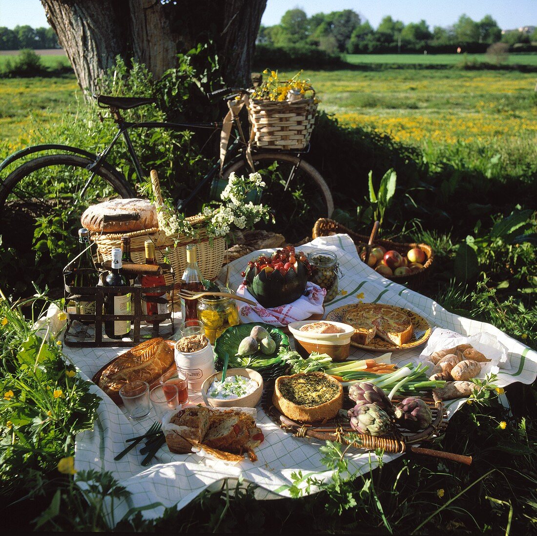 Picnic with quiche and pasties under a tree in the meadow