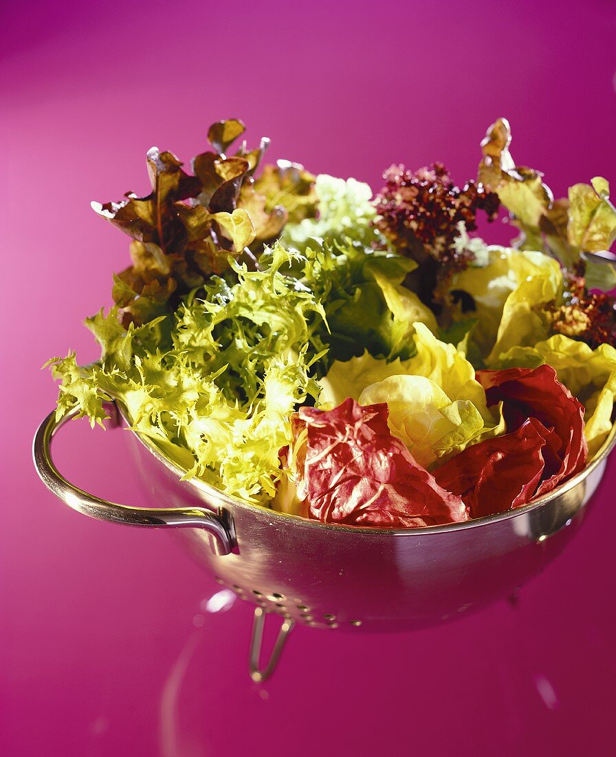 Mixed salad leaves in a stainless steel strainer