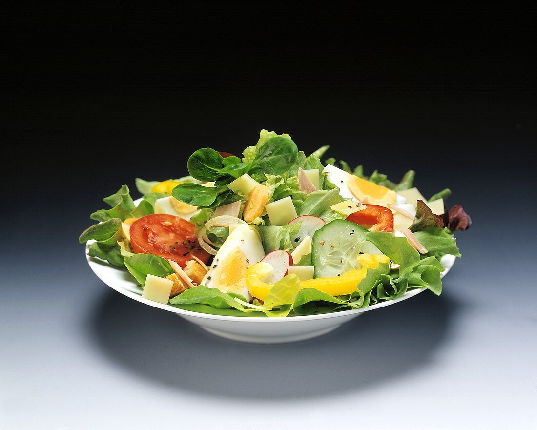 Gemischter Blattsalat mit Gemüse, Ei und Käse