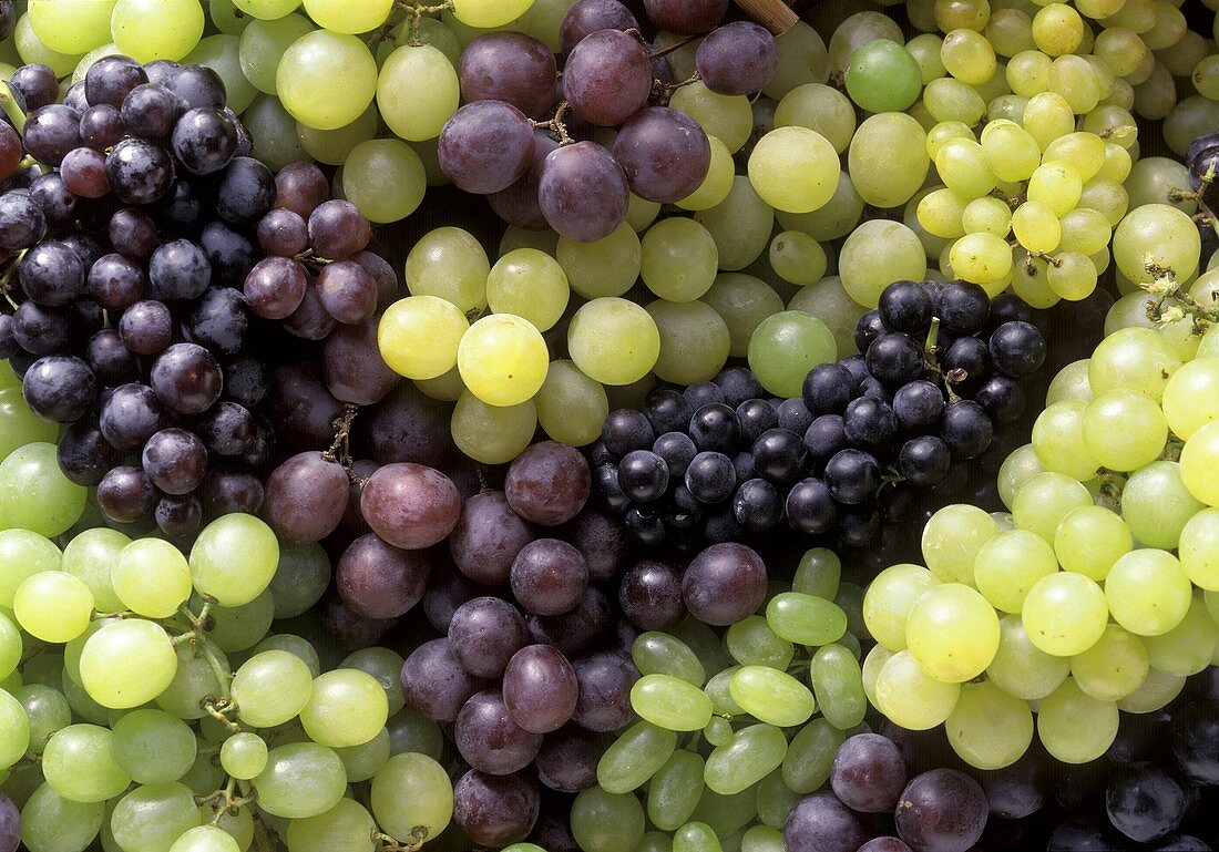 Various Green and Red Grapes