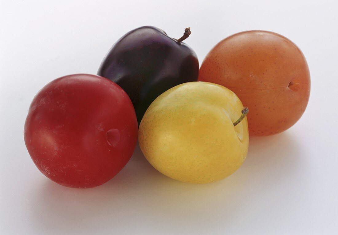 Plums of various colours on white background