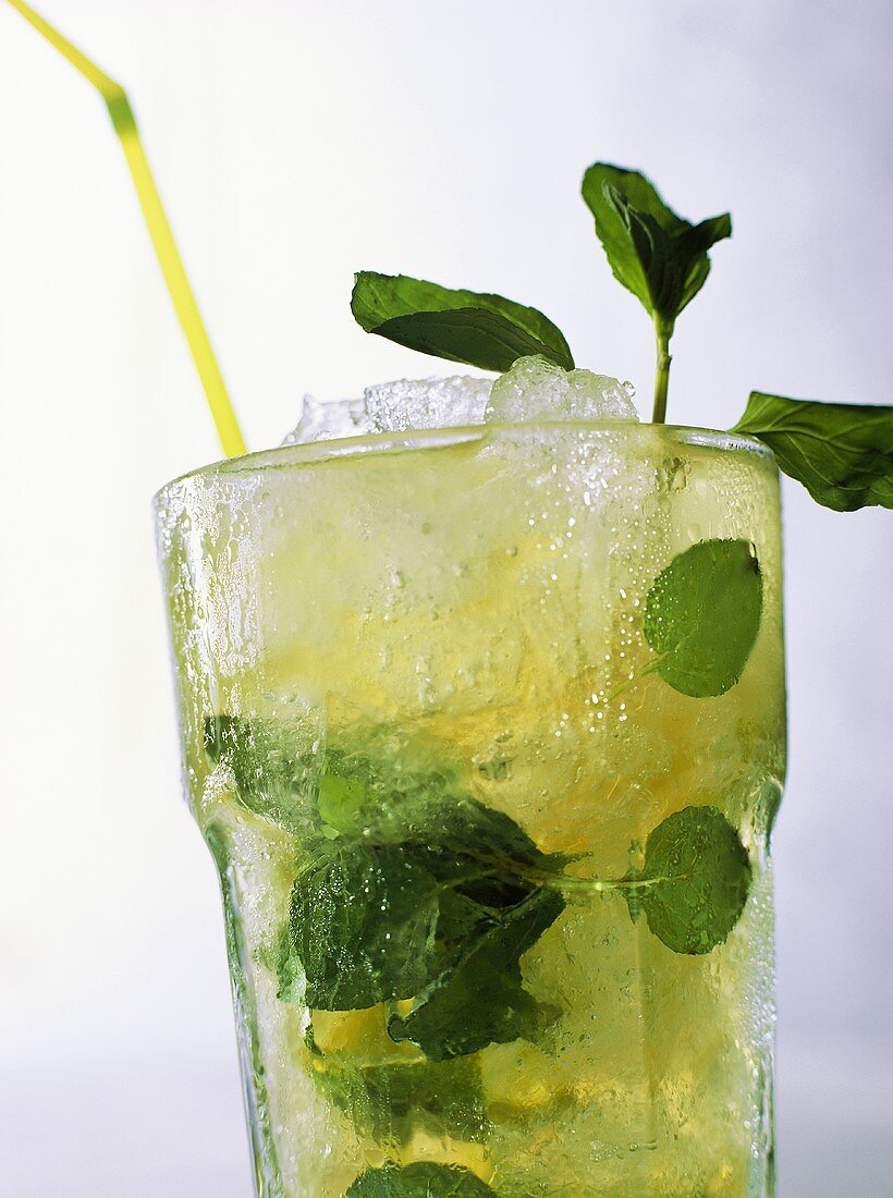 Mojito cocktail with ice cubes and herb sprigs