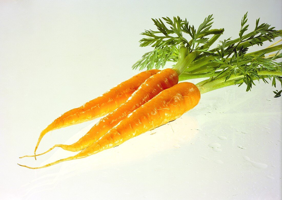 Carrots with Green