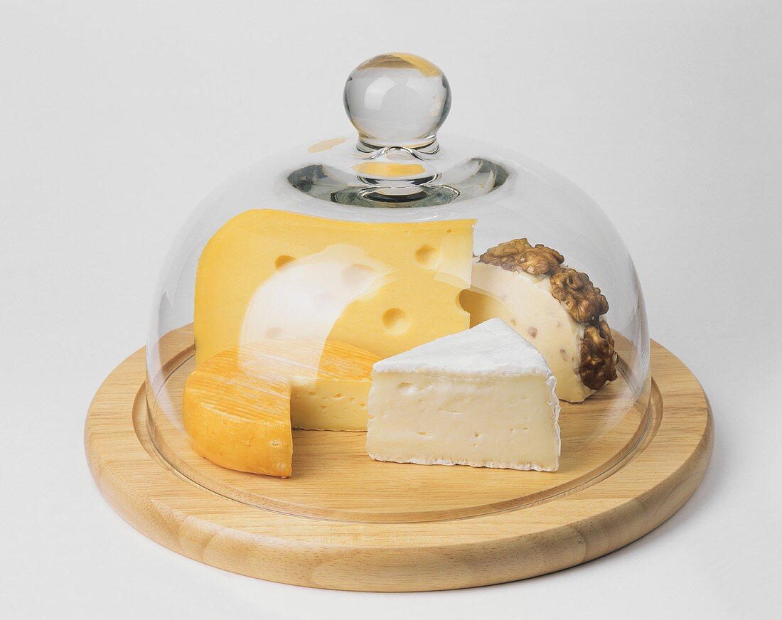 Verschiedene Käsesorten unter einer Käseglocke