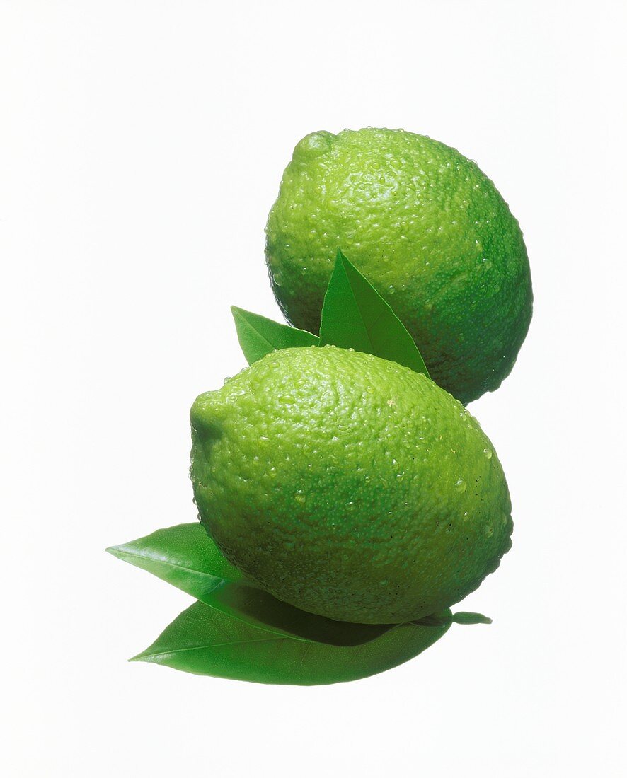 Two limes with leaves