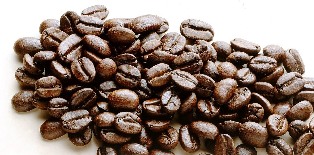 Coffee beans on light background