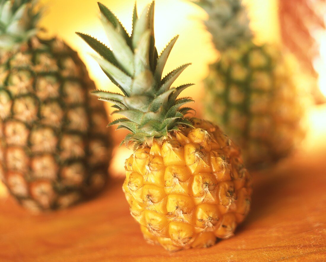 Baby and Large Pineapples