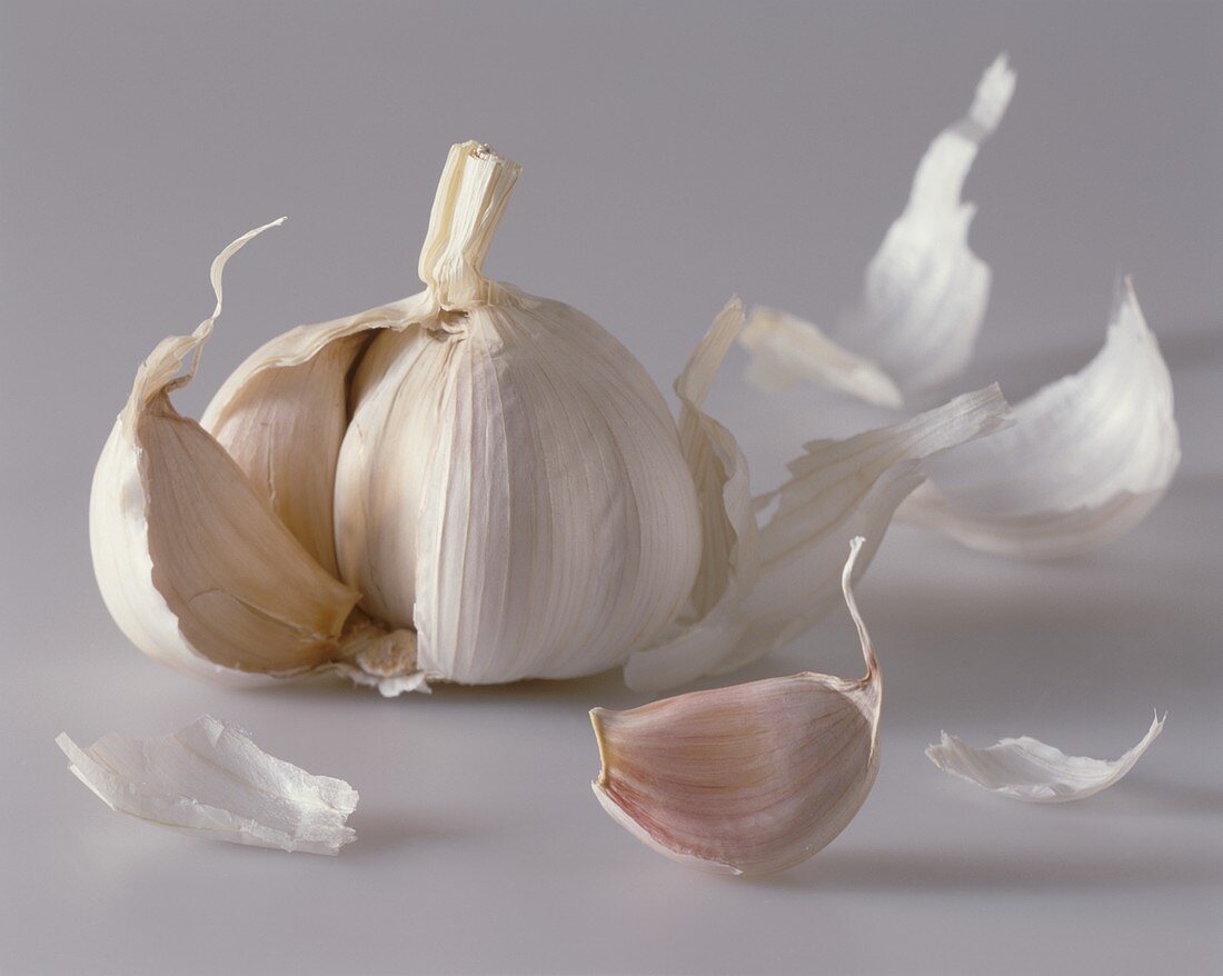 Garlic bulb and garlic cloves