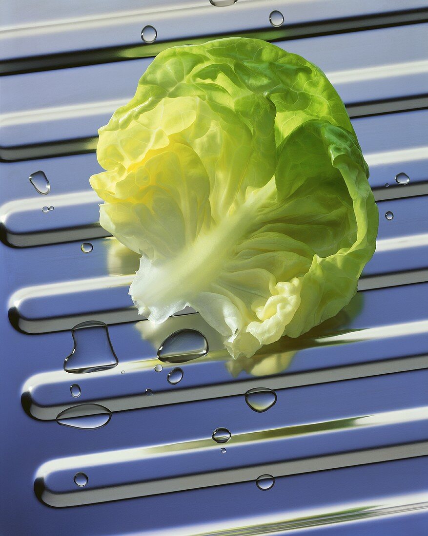 A lettuce leaf on a stainless background with drops of water
