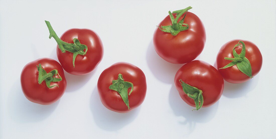 Sechs einzelne Tomaten auf weißem Untergrund