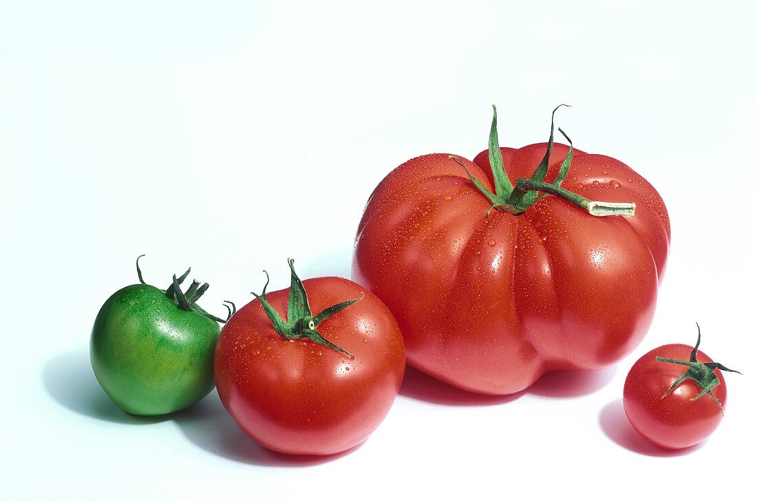 Verschiedene Tomatensorten mit Wassertropfen