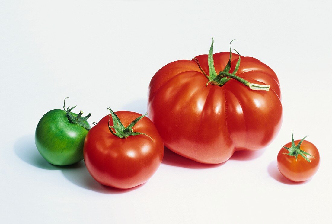 Various types of tomatoes on white background