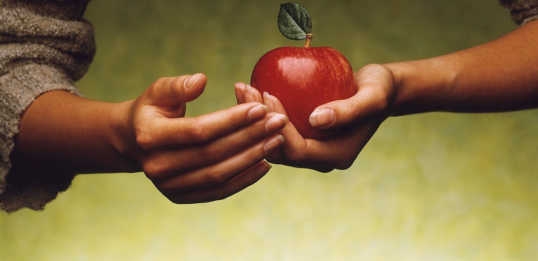 Weibliche Hände halten einen roten Apfel