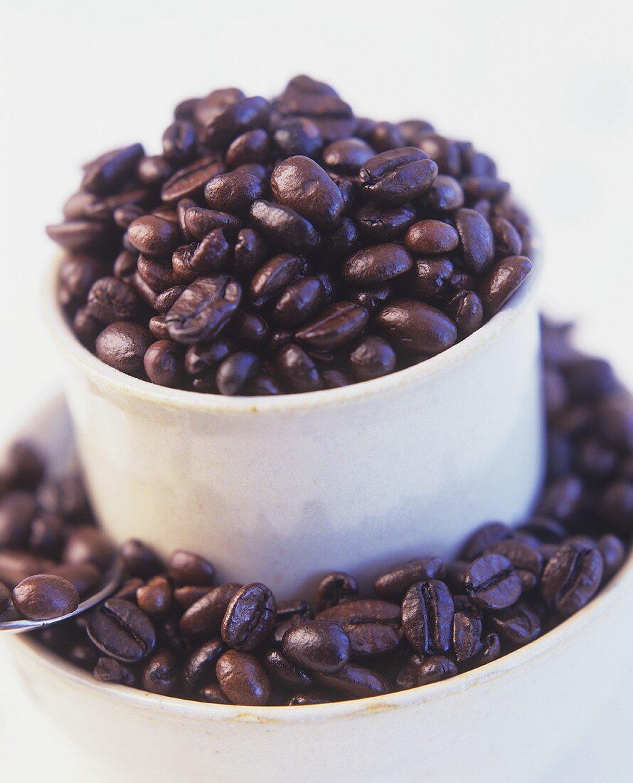 Coffee beans in white bowls