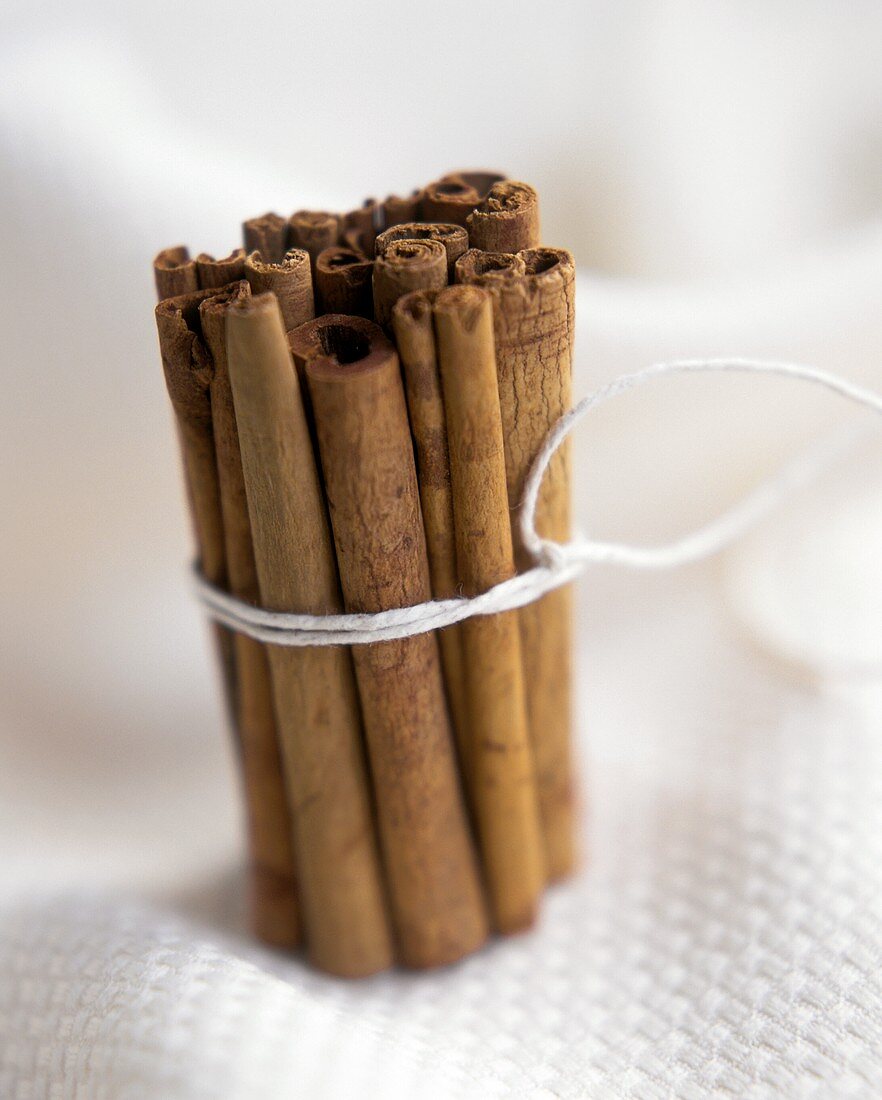 A bundle of cinnamon sticks (side view)