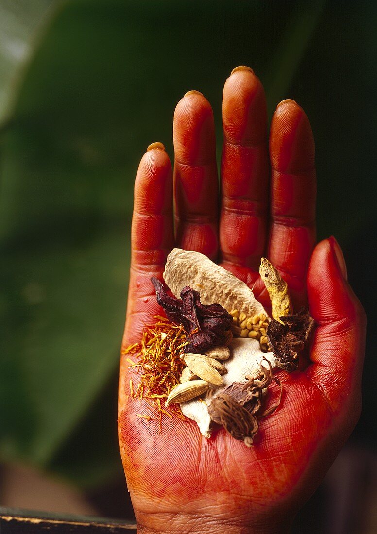 Exotic spices in a hand